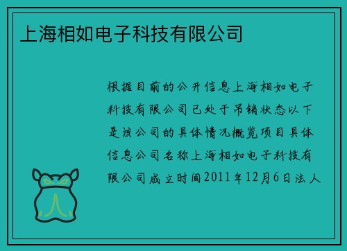 上海相如电子科技有限公司